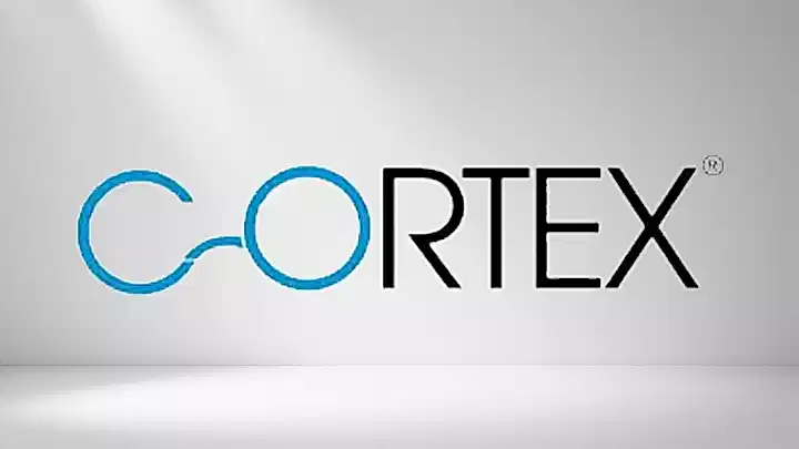 cortex